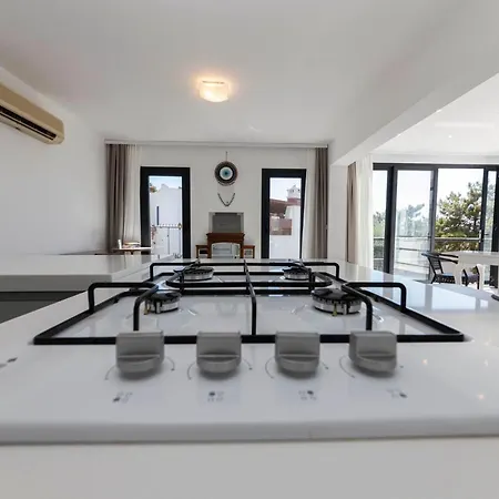 Villa Modern With Garden And Terrace Near Beach In The Heart Of *
