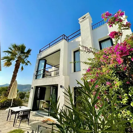 Vilă Modern With Garden And Terrace Near Beach In The Heart Of Bodrum