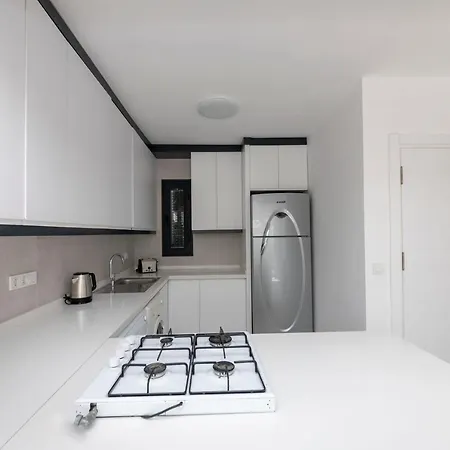 Modern With Garden And Terrace Near Beach In The Heart Of Vilă Bodrum